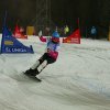 CW Fotos Snowboard Worldcup Jauerling 2012 115